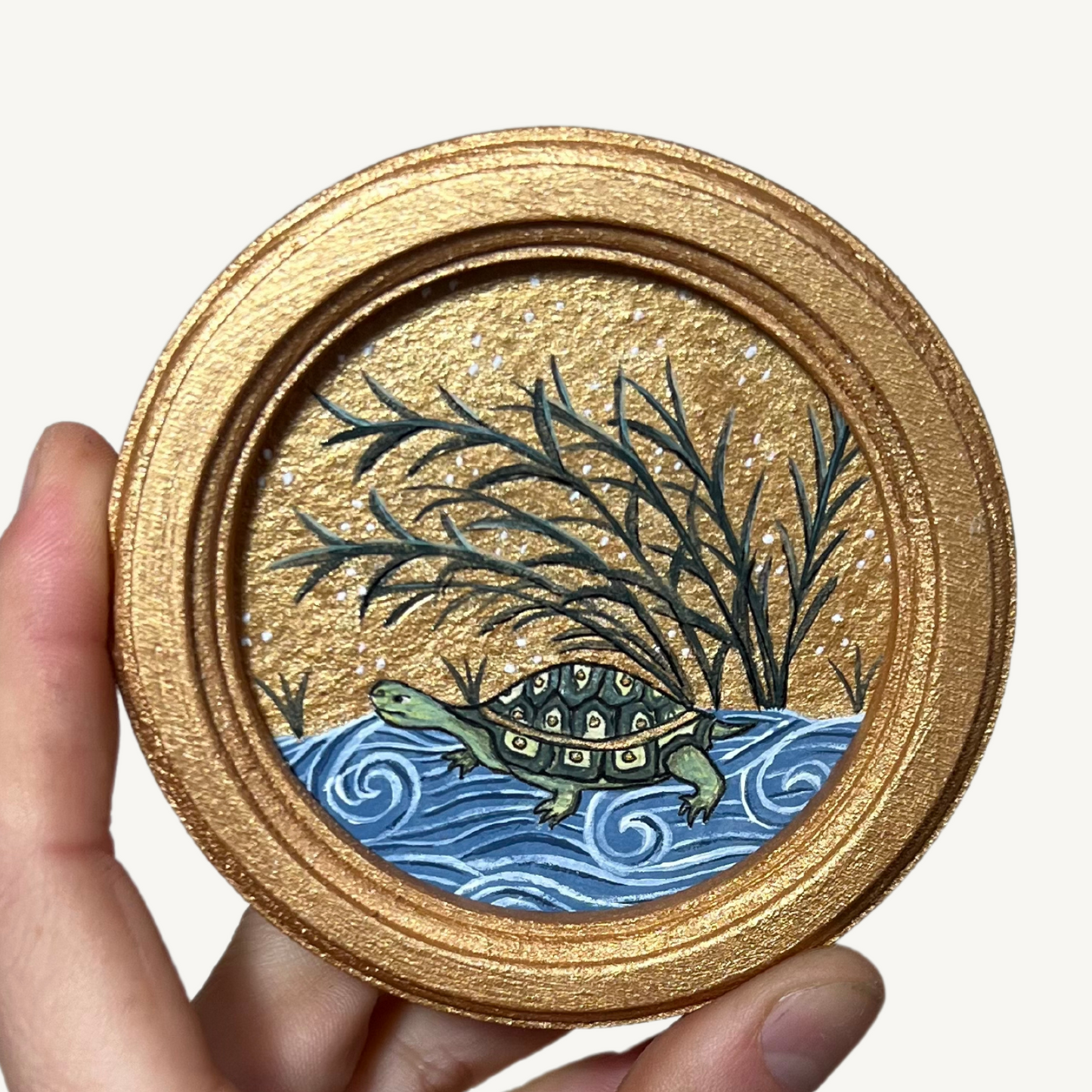 TURTLE - SERIES 1