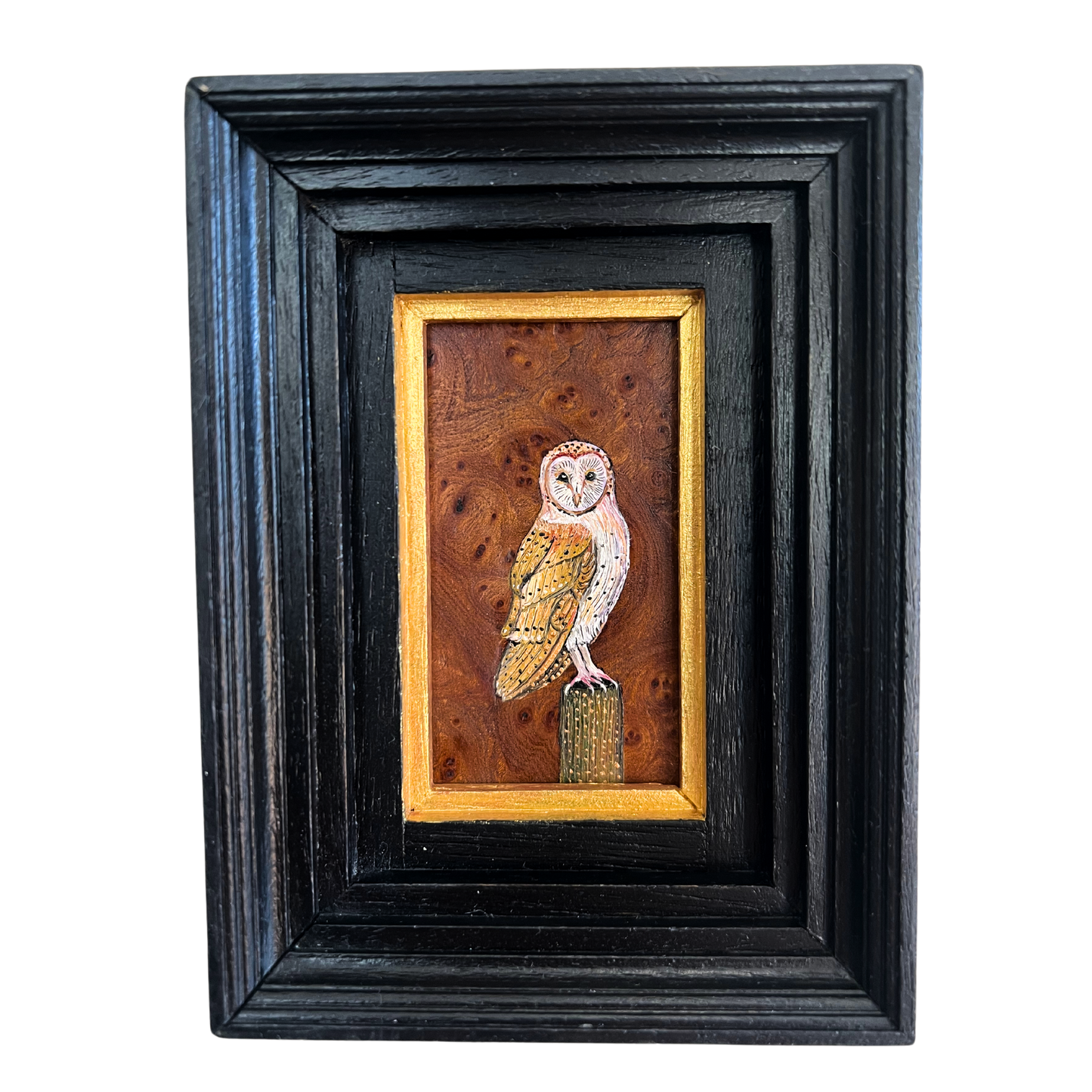 BARN OWL