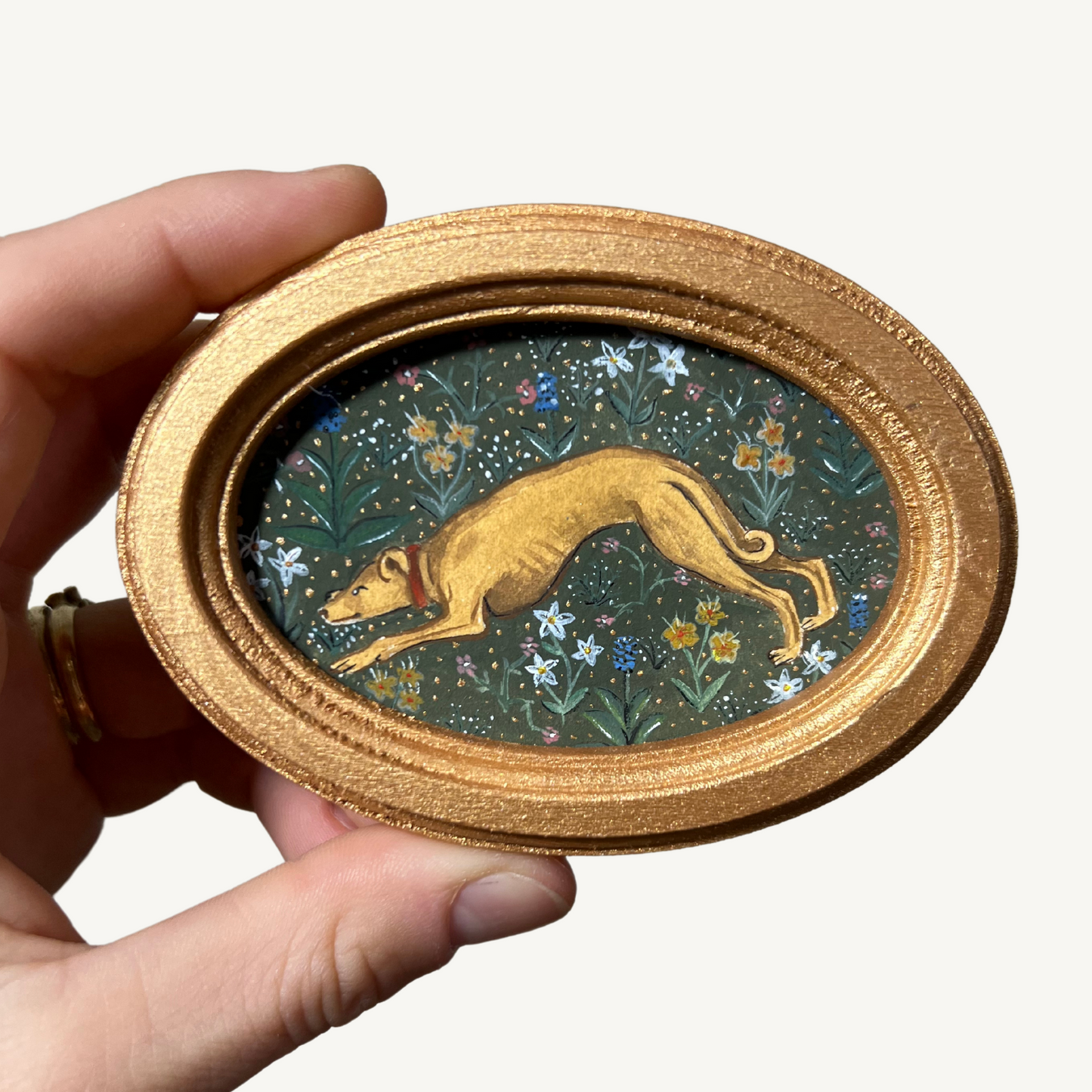 HOUND & HARE - SERIES 1