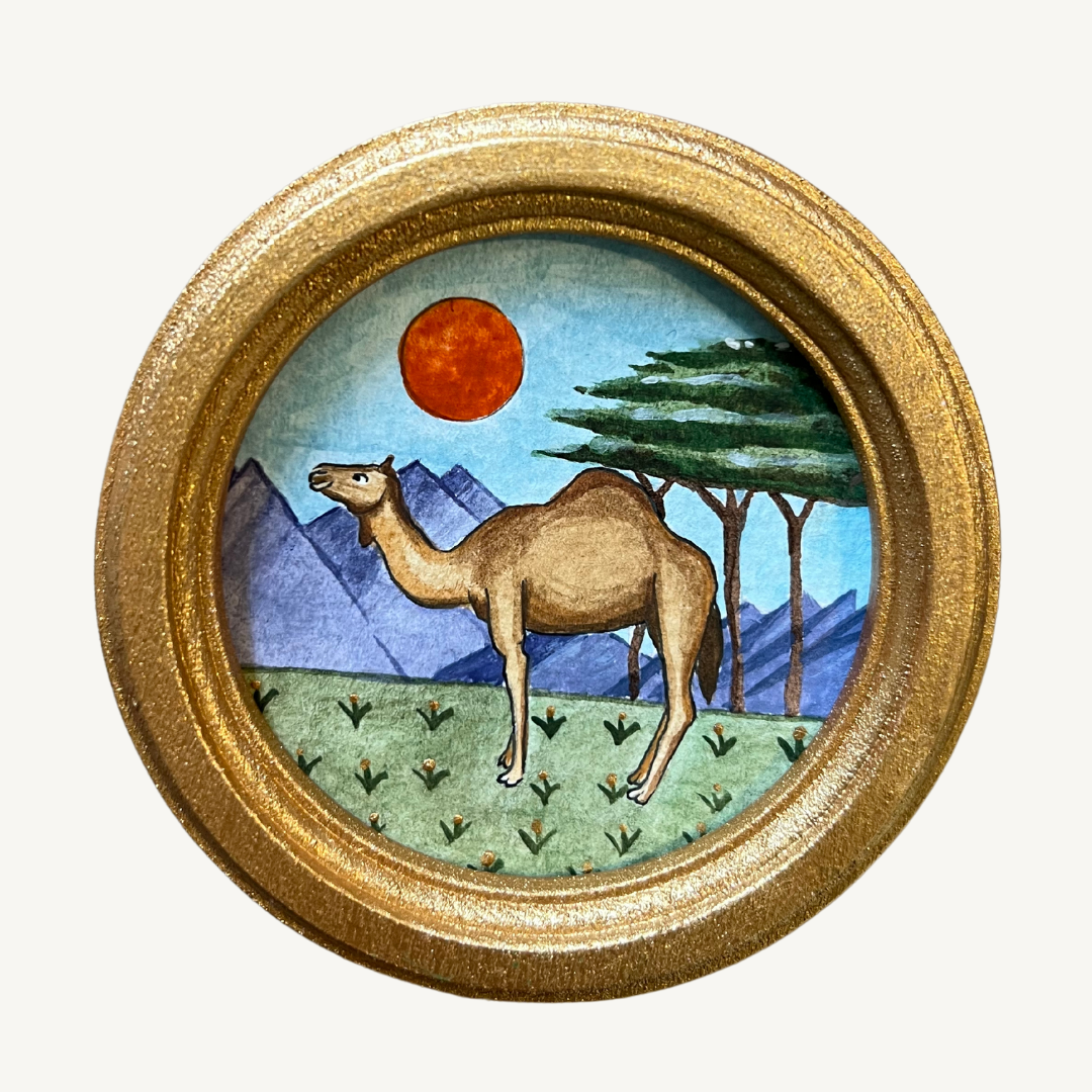 CAMEL - SERIES 2