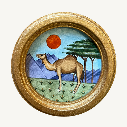 CAMEL - SERIES 2
