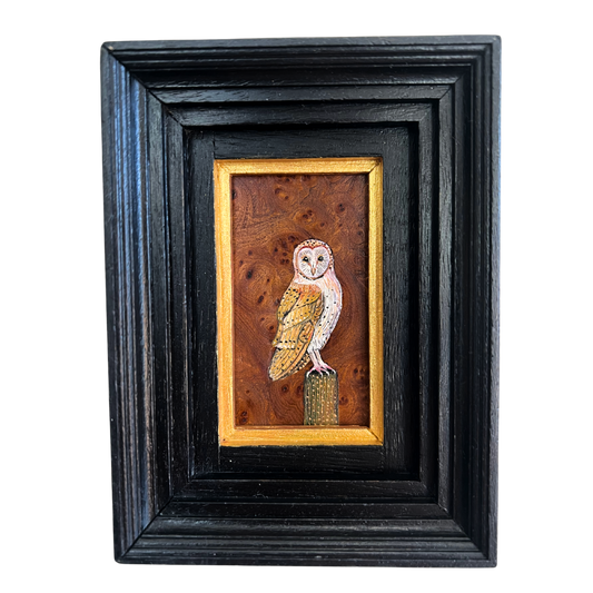 BARN OWL