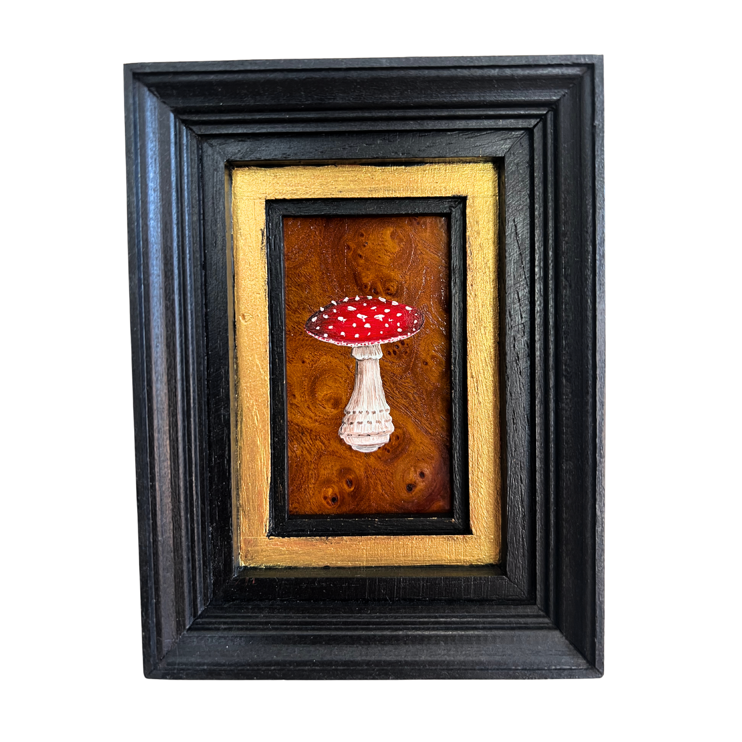 FLY AGARIC