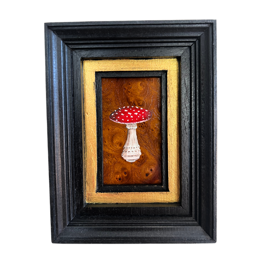 FLY AGARIC
